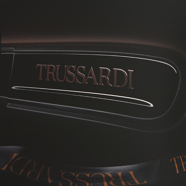 FIAT PANDA TRUSSARDIܹ񥫥