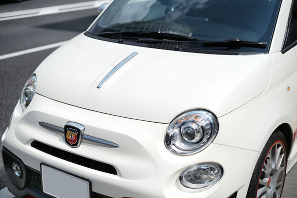 FIAT500Lܥͥåȥ饤(ƥ)